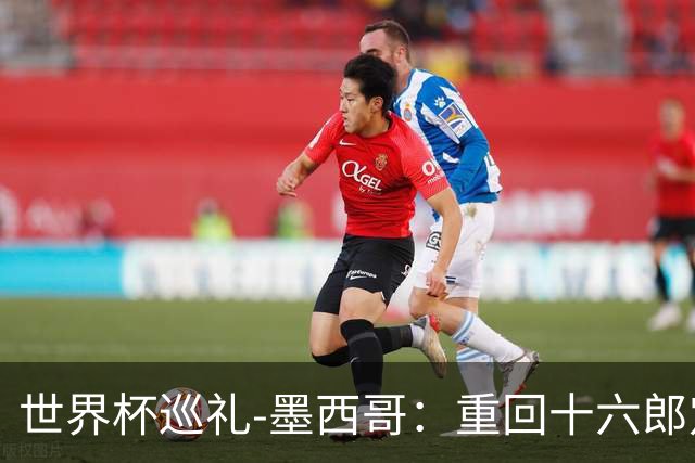 世界杯巡礼-墨西哥：重回十六郎定位，还是更上一层楼