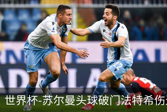世界杯-苏尔曼头球破门法特希伤退 半场新西兰1-0埃及