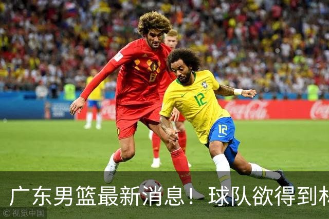 广东男篮最新消息！球队欲得到林葳签约权，萨姆纳降薪续约，王少杰或无缘回归