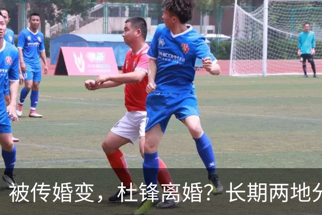 被传婚变，杜锋离婚？长期两地分居，名记回应，家庭情况曝光