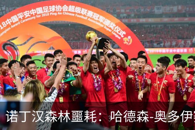 诺丁汉森林噩耗：哈德森-奥多伊赛季报销