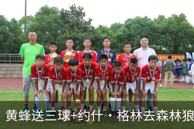 黄蜂送三球+约什·格林去森林狼 换里德+1首轮+3互换+3次轮