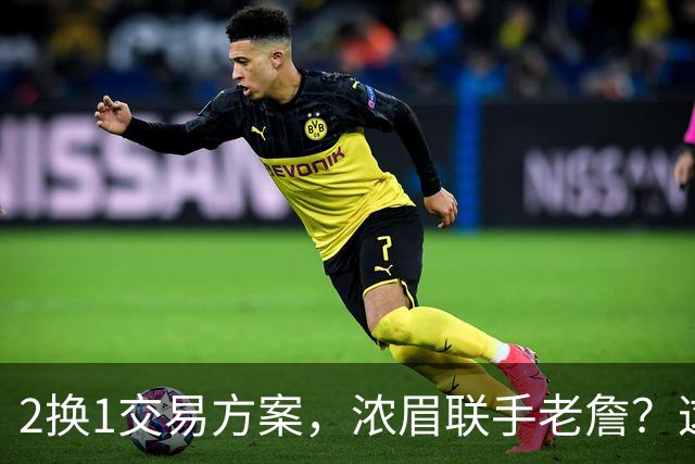 2换1交易方案，浓眉联手老詹？这让其他队怎么打